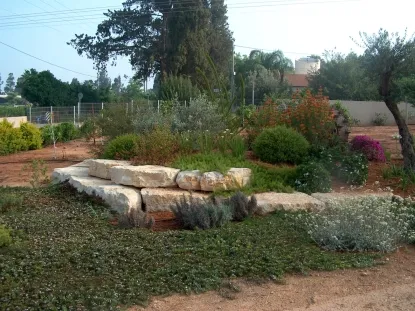 גינות לגלריה 35